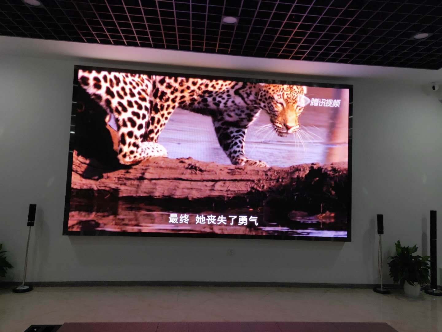 小間距LED顯示屏選購的三點(diǎn)標(biāo)準(zhǔn)